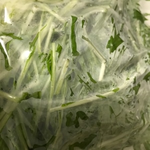 長持ち 水菜の冷蔵 冷凍保存方法 レシピ 作り方 By 新米幸せママ 楽天レシピ 長持ち 水菜の冷蔵 冷凍保存方法 レシピ 作り方 By 新米幸せママ 楽天レシピ